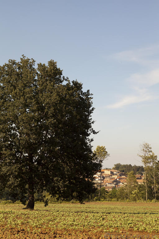 Agriturismo Creta Rossa Torre di Ruggiero Exteriör bild